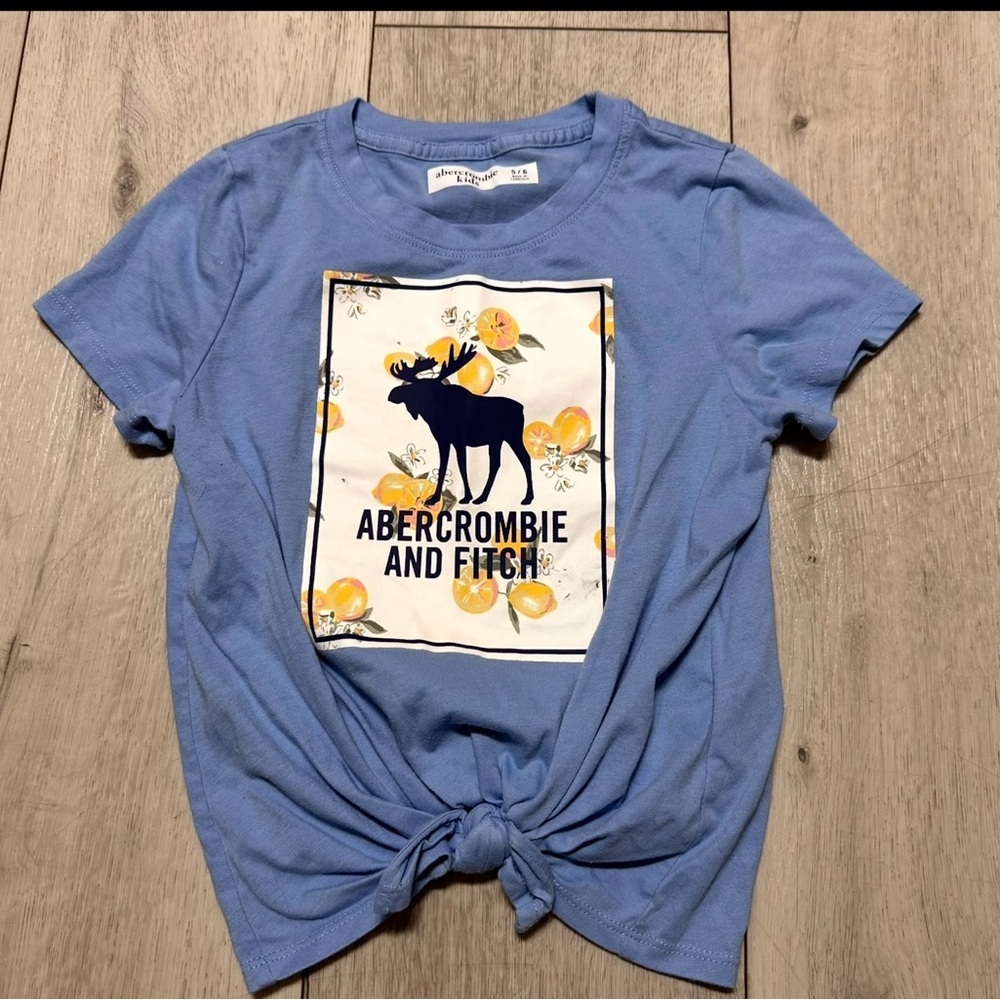 Abercrombie Kids Blue Moose Graphic Tee